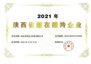 瞪羚企业证书_00